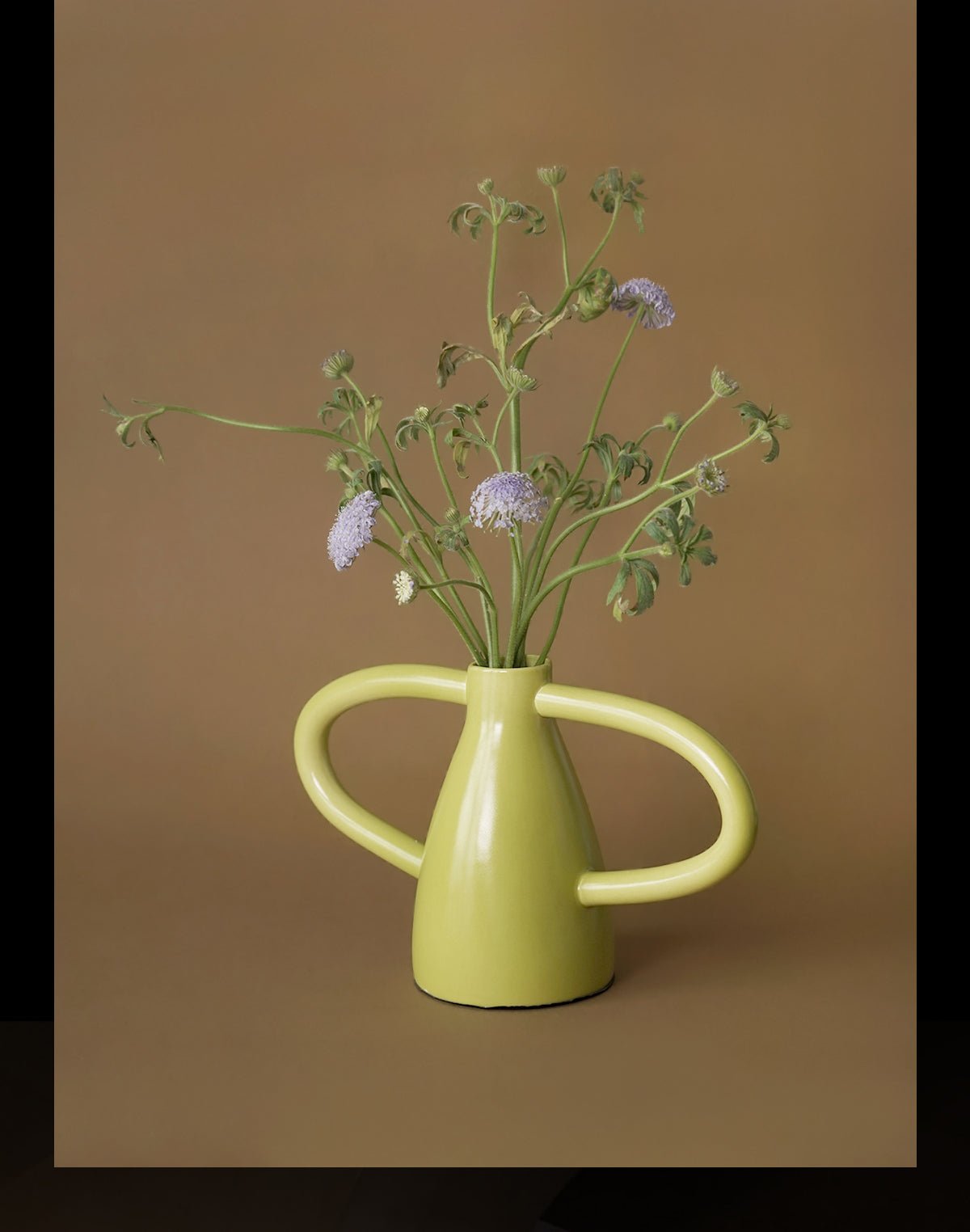 VAVINCI Amaya Elegant Double Ear Ceramic Vase - Image 12